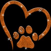 GLT36 ORANGE GLITTER Thumbnail